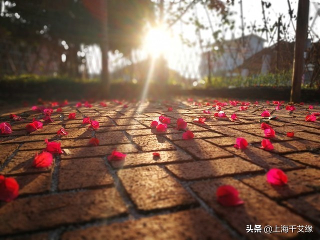 如果有缘错过了也会重来，一个30岁女人的爱情感言，爱真的看缘份